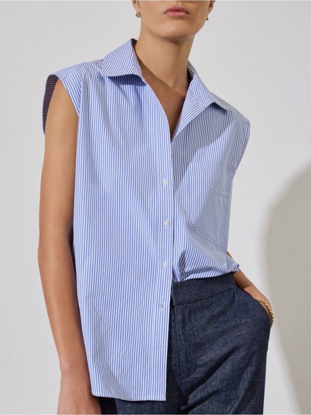 Brochu Walker Everyday Sleeveless Shirt Blue White Stripe Button Down XS